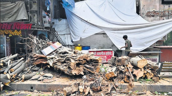 A huge tree fell outside the Parel ST Depot, which killed one women. (Anshuman Poyrekar/ Hindustan Times)