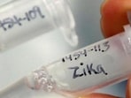 In June PMC has reported five Zika virus infection cases, including a 28-year-old pregnant woman from Erandwane.   (REPRESENTATIVE PHOTO)