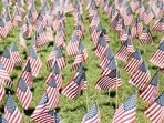 A comprehensive guide to Fourth of July Programmes; when and where to watch. A comprehensive guide to Fourth of July Programmes; when and where to watch.