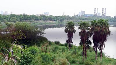 A view of the Yamuna’s western bank, near the Millennium Bus Depot. (Arvind Yadav/HT Photo)