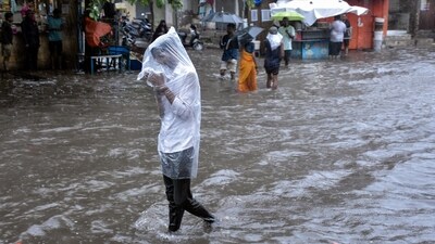 A man covers himself with a plastic sheet amid heavy rainfall in Surat. (File) (ANI) A man covers himself with a plastic sheet amid heavy rainfall in Surat. (File) (ANI)