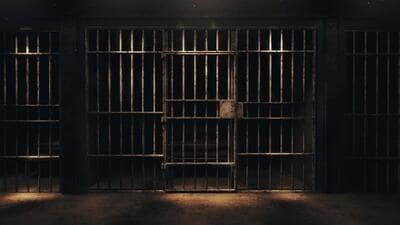 Prisoners released from multiple jails across Telangana, including Hyderabad and Warangal (Shutterstock) Prisoners released from multiple jails across Telangana, including Hyderabad and Warangal (Shutterstock)