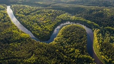 Amazon Rainforest: The lungs of our planet need a visit and a proper thank you from our side for breathing for us, despite humans' capitalistic urge to choke it. Teeming with flora and fauna, the Amazon rainforest covers about 42% of Brazil and expands into neighbouring countries as well. Fly to Manaus in Brazil to start your Amazon forest adventure and tick off visiting the world's largest rainforest from your bucket list. (Pixabay) Amazon Rainforest: The lungs of our planet need a visit and a proper thank you from our side for breathing for us, despite humans' capitalistic urge to choke it. Teeming with flora and fauna, the Amazon rainforest covers about 42% of Brazil and expands into neighbouring countries as well. Fly to Manaus in Brazil to start your Amazon forest adventure and tick off visiting the world's largest rainforest from your bucket list. (Pixabay)