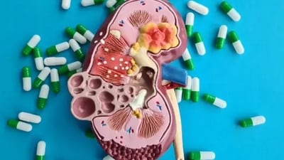 The toxins present within plastics can cause additional complications to the kidneys for individuals with existing kidney diseases. The toxins present within plastics can cause additional complications to the kidneys for individuals with existing kidney diseases.