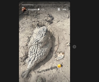 Ritika Sajdeh's Instagram Story Ritika Sajdeh's Instagram Story