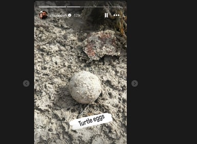 Ritika Sajdeh's Instagram story Ritika Sajdeh's Instagram story