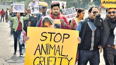 Pune, India - January 12, 2020: Animal activists and residents of Hadapsar stage a protest rally at Ranwal seagull society as a dog was beaten up to death in Pune, India, on Sunday, January 12, 2020. (Photo by Shankar Narayan/HT PHOTO) Pune, India - January 12, 2020: Animal activists and residents of Hadapsar stage a protest rally at Ranwal seagull society as a dog was beaten up to death in Pune, India, on Sunday, January 12, 2020. (Photo by Shankar Narayan/HT PHOTO)