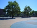 A fight escalated into stabbing on Prospect Playground in Bronx, New York City, on Wednesday. Three teen boys were hurt. A fight escalated into stabbing on Prospect Playground in Bronx, New York City, on Wednesday. Three teen boys were hurt.
