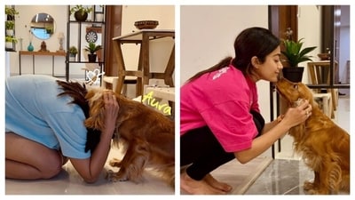  Pets are little bundles of sunshine with wagging tails and goofy smiles. Rashmika too listed her pet dog Aura on her life essential list. Pets unconditionally love and provide us with comfort, destressing us. They are loyal companions, who make every moment warm and sweet. (Instagram/@rashmika_mandanna & Pexels) Pets are little bundles of sunshine with wagging tails and goofy smiles. Rashmika too listed her pet dog Aura on her life essential list. Pets unconditionally love and provide us with comfort, destressing us. They are loyal companions, who make every moment warm and sweet. (Instagram/@rashmika_mandanna & Pexels)