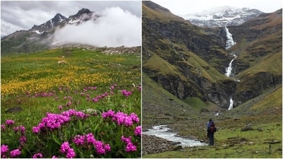 From Valley of Flowers to Rupin Pass Trek, top 6 treks to do in September. (Instagram/@valleyofflowertrek, @himalayanfootslog) From Valley of Flowers to Rupin Pass Trek, top 6 treks to do in September. (Instagram/@valleyofflowertrek, @himalayanfootslog)