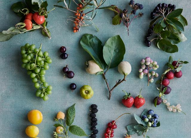 Whenever Noma moves to a new location, its menu is upgraded based on local ingredients. Whenever Noma moves to a new location, its menu is upgraded based on local ingredients.
