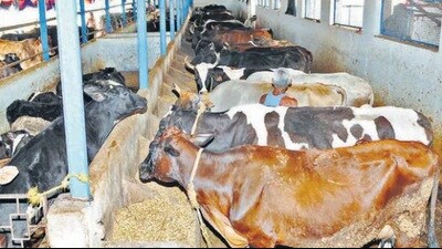 For representation only (HT File Photo)