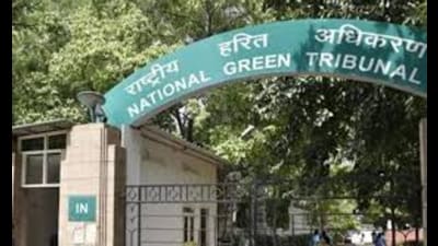 NGT questioned how the encroachment was permitted over the years and decades. (HT PHOTO) NGT questioned how the encroachment was permitted over the years and decades. (HT PHOTO)