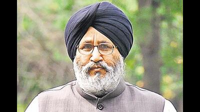 Shiromani Akali Dal (SAD) vice president Daljit Singh Cheem (HT File) Shiromani Akali Dal (SAD) vice president Daljit Singh Cheem (HT File)