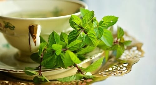 Peppermint tea. (Pixabay)