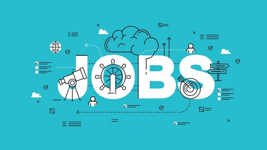 Job growth increased by just 1.5% in FY24, compared to a 5.7% rise in FY23,(Representational Image/Pixabay)