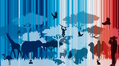 HT artist Monica Gupta overlays, on the climate-stripes chart for Earth, some of the species at risk, including us. (Image courtesy Ed Hawkins / University of Reading) HT artist Monica Gupta overlays, on the climate-stripes chart for Earth, some of the species at risk, including us. (Image courtesy Ed Hawkins / University of Reading)