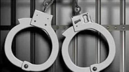 The anti-narcotics cell of the police commissionerate arrested three accused on drug peddling charges in two cases, and recovered 82 kg poppy husk and 600 gm opium from their possession. The police also impounded a Hyundai Verna car. (HT File)