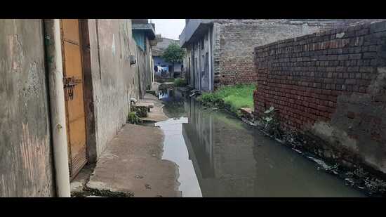 The residents of Dhandari Khurd, ward number 28 have raised concerns over the unhygienic living conditions, filthy streets, open garbage dump and a lingering foul smell. (HT Photo)