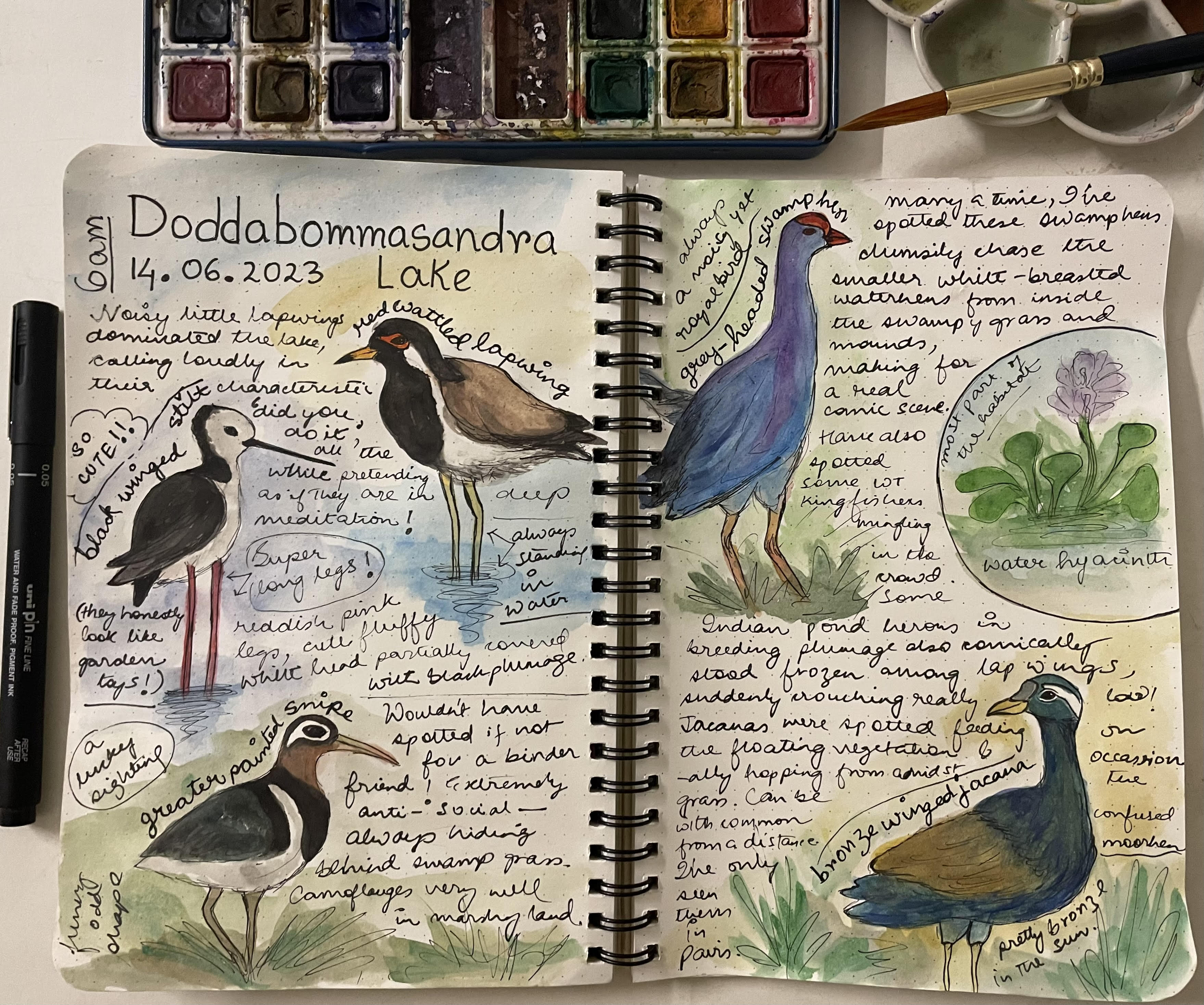 A page of birds seen at the Doddabommasandra Lake in Bengaluru, as sketched by Debangini Ray. A page of birds seen at the Doddabommasandra Lake in Bengaluru, as sketched by Debangini Ray.