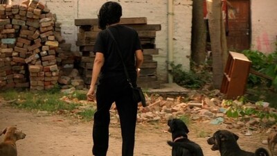 Dog lovers of Lucknow Dog lovers of Lucknow