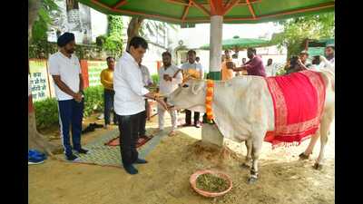 Uttar Pradesh minister AK Sharma performing a ritual during his visit to Kanha Upvan in Lucknow on August 25. (Sourced) Uttar Pradesh minister AK Sharma performing a ritual during his visit to Kanha Upvan in Lucknow on August 25. (Sourced)