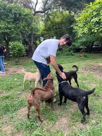 Actor-singer Danish Sood shares how his family in Delhi has been taking care of stray animals in their neighbourhood.