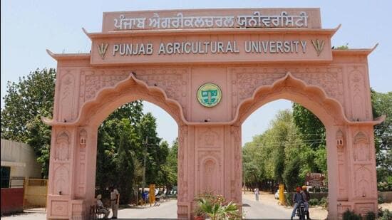 The Punjab Agricultural University (PAU) is planning to set up a Centre of Excellence for spectroscopy and geospatial intelligence. (HT Photo)