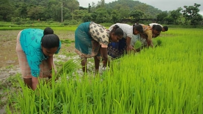 Agriculture Agriculture