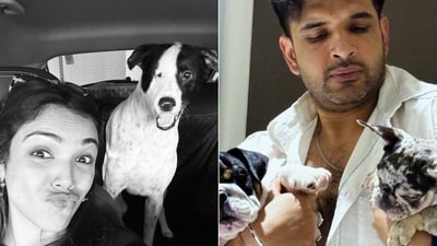 Shriya Pilgaonkar and Karan Kundrra are amongst many celebs who are pet parents. Shriya Pilgaonkar and Karan Kundrra are amongst many celebs who are pet parents.