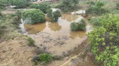Officials said that the water bodies have been created at topographically strategic locations where water naturally accumulates. Officials said that the water bodies have been created at topographically strategic locations where water naturally accumulates.