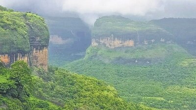 One of the wildlife protected areas in the Western Ghats. (HT File Photo) One of the wildlife protected areas in the Western Ghats. (HT File Photo)