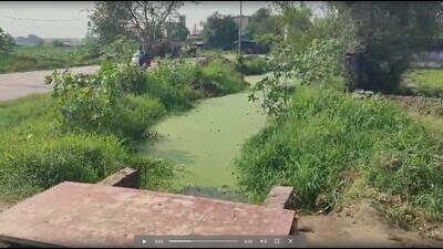 The Alipur drain where the 5-year-old girl died on Monday morning. (HT Photo) The Alipur drain where the 5-year-old girl died on Monday morning. (HT Photo)