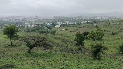 The plea stated that these activities have caused unprecedented environmental degradation, loss of biodiversity, soil erosion, increased occurrence of landslides, and incidents of severe flooding during the monsoon season. (HT PHOTO) The plea stated that these activities have caused unprecedented environmental degradation, loss of biodiversity, soil erosion, increased occurrence of landslides, and incidents of severe flooding during the monsoon season. (HT PHOTO)