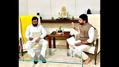 The villagers of Lohegaon and warkari communities have also expressed the desire to name the airport after the sant, Mohol said. (HT PHOTO)