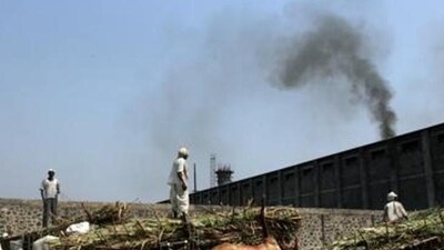File photo of Malegaon sugar co-operative in Baramati in Maharashtra. (Satish Bate/HT photo) File photo of Malegaon sugar co-operative in Baramati in Maharashtra. (Satish Bate/HT photo)
