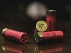 The 5-year-old boy who accidentally shot himself to death was found with a 9 mm handgun. The 5-year-old boy who accidentally shot himself to death was found with a 9 mm handgun.