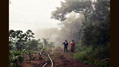 As time passed, neither the forest nor revenue departments paid any attention to this land due to which it was encroached. (HT PHOTO) As time passed, neither the forest nor revenue departments paid any attention to this land due to which it was encroached. (HT PHOTO)