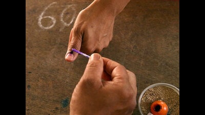BSP state president Dharampal Tigra said the alliance would sweep the assembly polls.