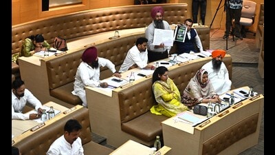 Councillors during the monthly House meeting at the MC office in Sector 17, Chandigarh, on Tuesday. (Keshav Singh/HT) Councillors during the monthly House meeting at the MC office in Sector 17, Chandigarh, on Tuesday. (Keshav Singh/HT)