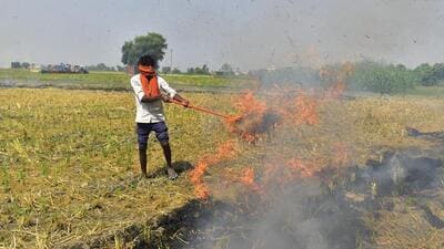 Stubble burning in states adjoining Delhi exacerbates air pollution during winter. (HT Archive) Stubble burning in states adjoining Delhi exacerbates air pollution during winter. (HT Archive)