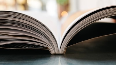 The alleged thief was caught reading was The Gods at Six O'Clock. (Unsplash) The alleged thief was caught reading was The Gods at Six O'Clock. (Unsplash)