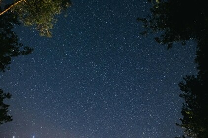 If the loud party is too overwhelming for you, enjoy the nighttime with just the stars and yourself. (Pexels) If the loud party is too overwhelming for you, enjoy the nighttime with just the stars and yourself. (Pexels)