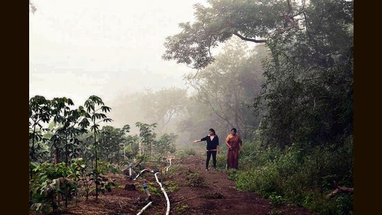 As time passed, neither the forest nor revenue departments paid any attention to this land due to which it was encroached. (HT PHOTO)