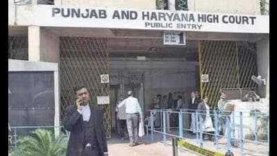 A division bench comprising Chief Justice Sheel Nagu and Justice Anil Kshetarpal has fixed the next date of the hearing on September 2. (HT File)