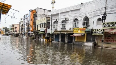 Inundated Dabeerpura Gate Road in Hyderabad over the past month. (ANI) Inundated Dabeerpura Gate Road in Hyderabad over the past month. (ANI)