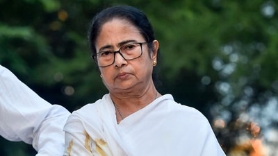 West Bengal chief minister Mamata Banerjee. (File)