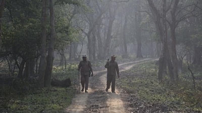NGT has already suo motu taken up the matter against alleged illegal diversion of 44 hectares of protected forest to set up the Assam Police’s Commando Battalion located near the Assam-Mizoram border in Hailakandi district. (Representative/AP File Photo) NGT has already suo motu taken up the matter against alleged illegal diversion of 44 hectares of protected forest to set up the Assam Police’s Commando Battalion located near the Assam-Mizoram border in Hailakandi district. (Representative/AP File Photo)