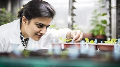 The inclusion of the Arts in the STEM curriculum nurtures creativity, innovation, and emotional intelligence, which are crucial for problem-solving and adapting to new challenges. The inclusion of the Arts in the STEM curriculum nurtures creativity, innovation, and emotional intelligence, which are crucial for problem-solving and adapting to new challenges.