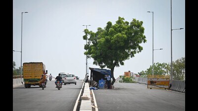 Two large trees located in the middle of the carriageway are making the newly constructed flyover non-viable for use, officials said. (Sanchit Khanna/HT Photo) Two large trees located in the middle of the carriageway are making the newly constructed flyover non-viable for use, officials said. (Sanchit Khanna/HT Photo)